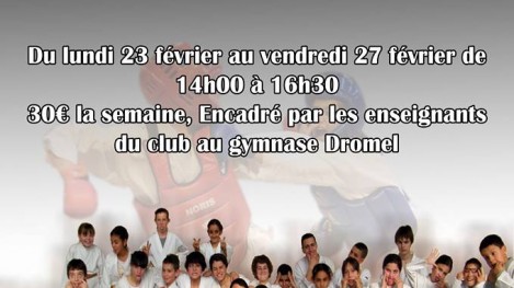 stage_vaccances_scolaires_2013